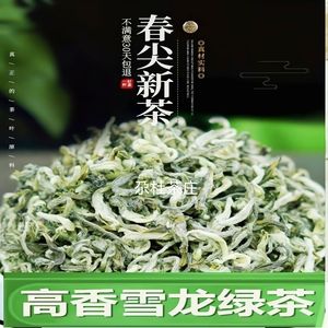 春尖茶雪龙绿茶2023新茶叶云南普洱毛尖毛峰浓香型茶叶散装500g