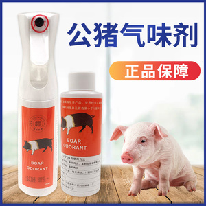 母猪发情喷雾诱情剂猪用配种刺激发情荷尔蒙喷剂公猪气味济气味剂