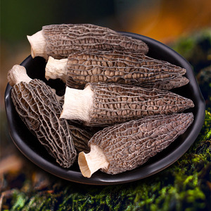 羊肚菌干货100g特产菌菇煲汤食材高海拔菌类菇汤料包