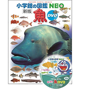 现货 魚 小学館の図鑑NEO 日本儿童图鉴书 水生动物