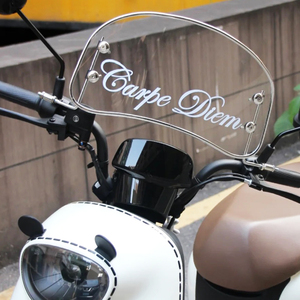 Carpe Diem及时行乐电动车挡风板反光摩托车贴纸前风挡玻璃装饰贴