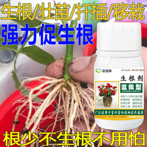 花卉植物通用强力扦插树木老桩移栽发根剂液果树专用生根粉生根剂