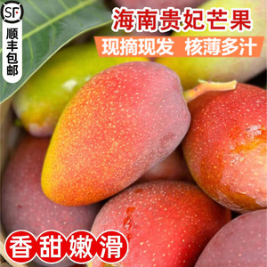 海南贵妃芒10斤芒果新鲜当季树上熟甜心芒果热带水果整箱包邮大果
