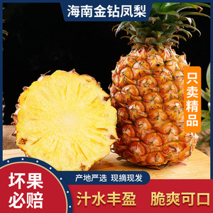 【官方直播】海南金钻凤梨新鲜水果菠萝整箱当季树上熟香水特产甜