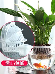 多种尺寸植物定植篮水培绿萝风信子发财树瓶口固定器塑料筐花。
