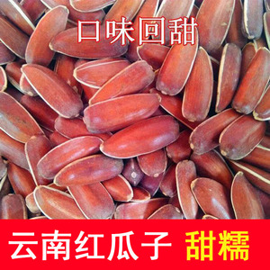 云南生红瓜子中大颗粒原味甜晒干新货精选红皮生水果瓜子生葵花籽