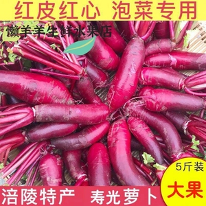 涪陵品种胭脂萝卜5斤红皮红心新鲜紫美人萝卜泡菜专用红心萝卜