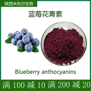 蓝莓花青素蓝莓萃取粉100g/袋水溶性食品级蓝莓提取物花青素