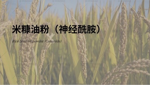 日本进口原料米糠油粉神经酰胺高保湿修护屏障纯粉