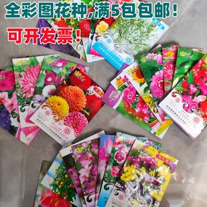 彩图厂家封装花卉种子彩袋装花种子精美礼物学生种植送人活动花籽