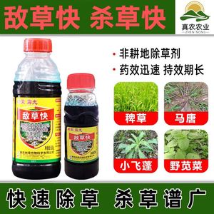 雳光敌草快除草剂正品灭草剂广谱除草农药触杀死草果园敌草怏荒地