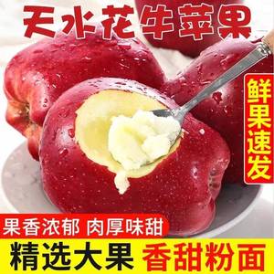 甘肃天水花牛苹果9斤新鲜现摘红蛇粉面果平安果宝宝辅食水果