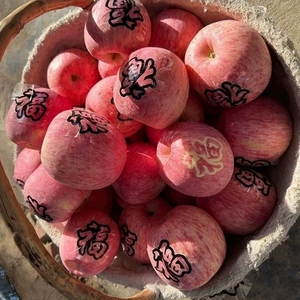甘肃苹果正宗冰糖心当季新鲜水果庆阳红富士好吃高原大红平果10斤