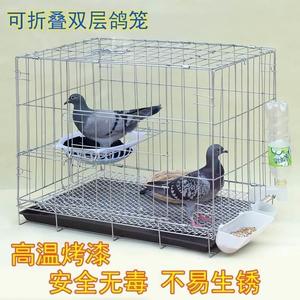鸽子笼家用特大号鸽子笼子繁殖配对养殖笼肉种鸽元宝养鸽子专用笼