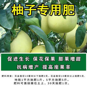 柚子苗专用肥料硕果绿叶素花多多有机复合肥水果树肥盆栽地栽肥