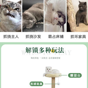 太空舱剑麻猫爬架简约不占地小户型跳台玩具实木架子猫窝猫树一体