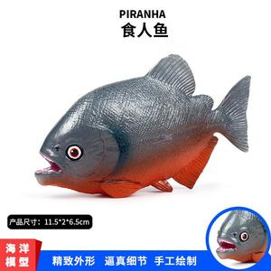 实心仿真海洋动物模型食人鱼食人鲳水虎鱼海洋生物模型玩具摆件