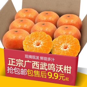 正宗广西武鸣沃柑5-9斤新鲜水果当云季南沙糖蜜橘砂糖柑橘桔子橘