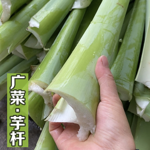 广菜贵州省三都县特产农家自种新鲜白芋梗现割原味蒙酸芋5斤
