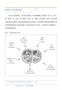 正版新书!大地上的宝石生石花的秘密 史蒂文哈默 著 克里斯托