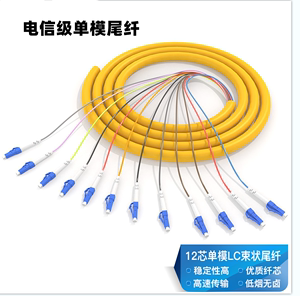 LC束装尾纤12芯光纤跳线万兆多模单模熔纤式尾纤跳线小方头电信级