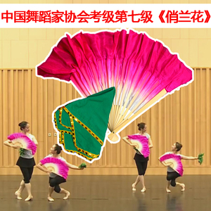 舞蹈扇中国舞协考级专用七级俏兰花8寸花鼓灯舞韵手绢儿童跳舞扇