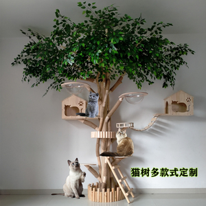 猫爬架猫树大型实木树干宠物树猫咪玩具猫屋猫窝跳台一体猫咖装饰