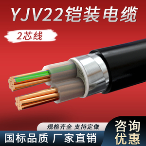 YJV22国标纯铜芯铠装电缆2芯4/6/10/16/25平方户外工程地埋电线缆