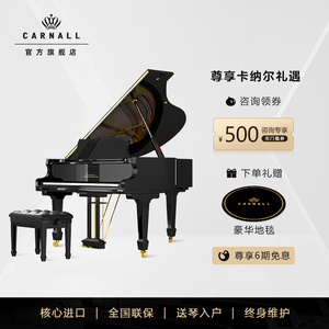 卡纳尔/CARNALL幻影系列 经典家用三角钢琴 德国品牌高端钢琴家用