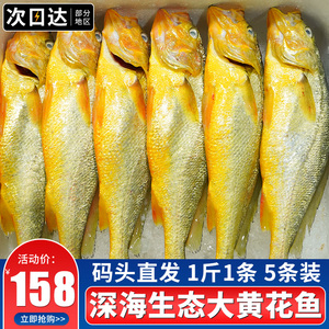 黄花鱼新鲜冷冻大黄鱼冰鲜鱼特大鱼鲜活东海深海鱼生鲜整箱5斤5条