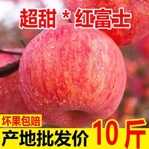 陕西红富士苹果10斤新鲜水果整箱当季脆甜丑平果嘎啦小冰糖心包邮