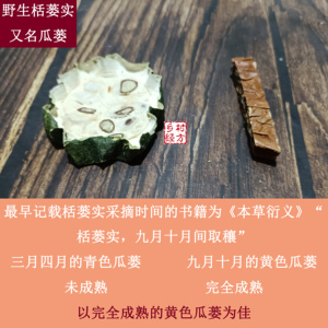 河南安阳野生瓜蒌 又名栝蒌实 完全成熟 皮黄黏软 糖脂丰富