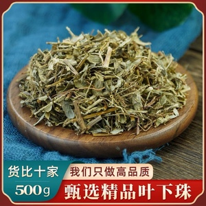 叶下珠中药材500g新货野生叶下珠珍珠草龙珠草鱼鳞草正品广西特产