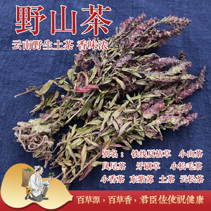 新货云南小山茶野山茶东紫苏梭罗云南菜火锅烧烤凉茶花草茶山里茶