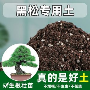 黑松专用土五针松营养土盆栽养花种植酸性土壤有机肥料腐叶腐殖土