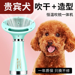 贵宾泰迪狗狗吹毛拉毛造型梳宠物小型犬洗澡专用吹风机梳烘干神器