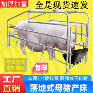 母猪产床母猪落地产床母猪单产床简易产床猪产床单体母猪定位栏
