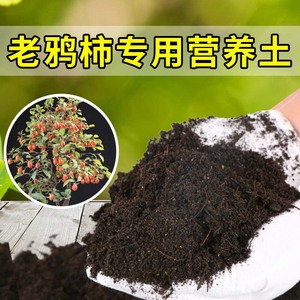 老鸦柿专用土盆栽花土育苗肥料水果养花果蔬菜园家庭透气阳台蓬松