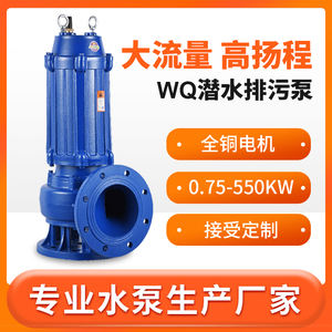 WQ潜水排污泵污泥提升泵耦合式工程潜污泵1.5KW大流量电动污水泵