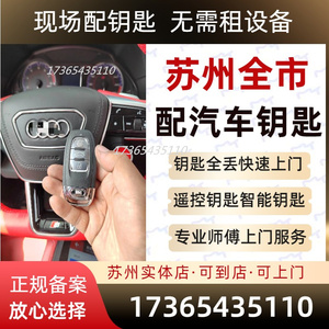 苏州配汽车钥匙适合于宝马奥迪大众本丰田等汽车配钥匙遥控器芯片