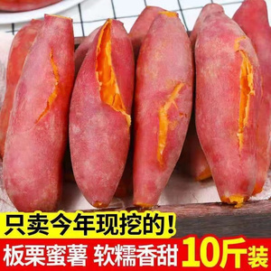 广东湛江沙地西瓜红蜜薯新鲜红心地瓜板栗红薯番薯山芋糯香甜无丝