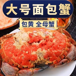 【2斤面包蟹】螃蟹鲜活梭子蟹海蟹海鲜水产熟冻黄金蟹即食珍宝蟹