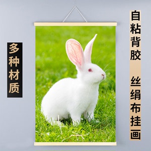 兔子装饰挂画海报壁画可爱萌宠小白兔动物自粘墙贴儿童房床头科普