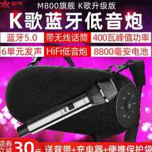 朗琴M800蓝牙音箱重低音炮K歌音响大音量无线话筒家用户外插卡U盘