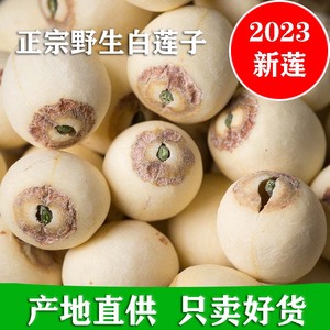 新货大粒带芯白莲子干货500g特产湘潭湘莲子带心磨皮莲子有芯无硫