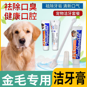 金毛专用狗狗牙刷牙膏套装除口臭可食用宠物牙垢指套口腔牙齿通用