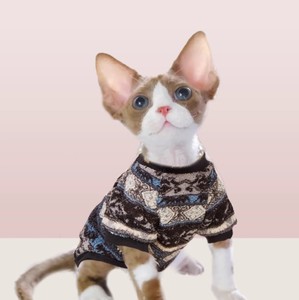 德文卷毛猫衣服保暖两三个月小幼猫穿的衣服秋季冬季保暖宠物专用