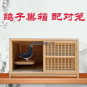 新疆西藏包邮赛鸽信鸽配对笼巢箱赛飞巢箱种鸽调节笼鸽子巢箱笼鸽