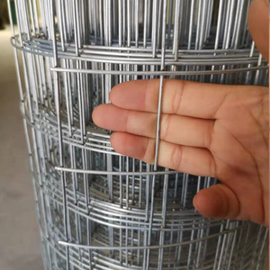 厂家新品圈玉米网铁丝网围栏养殖网装玉米笼钢丝镀锌T电焊网养鸡