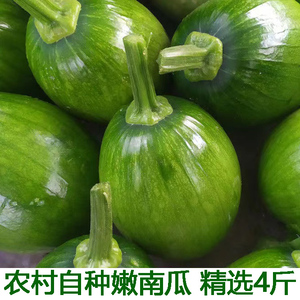 迷你小嫩南瓜农家新鲜菜自种绿皮切丝青瓜农产品时令蔬菜包邮